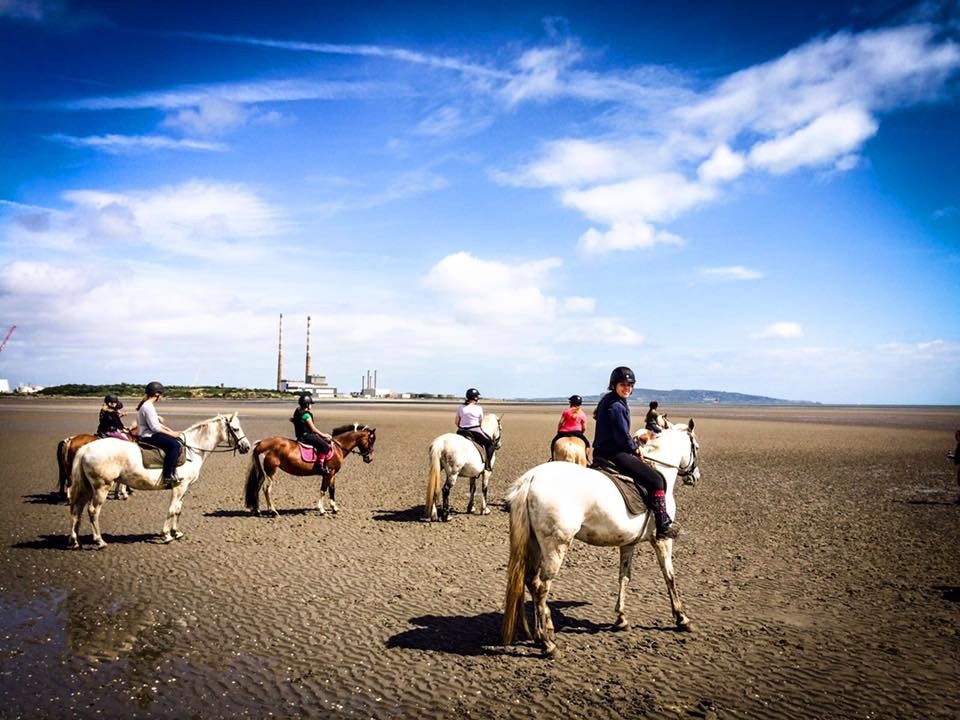 gallery_beach_ride Horse Riding Centre Dublin, riding lessons, livery