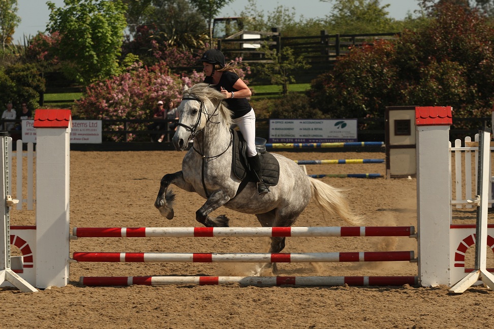 gallery_boswell Horse Riding Centre Dublin, riding lessons, livery