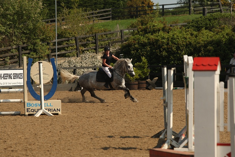 gallery_boswell Horse Riding Centre Dublin, riding lessons, livery