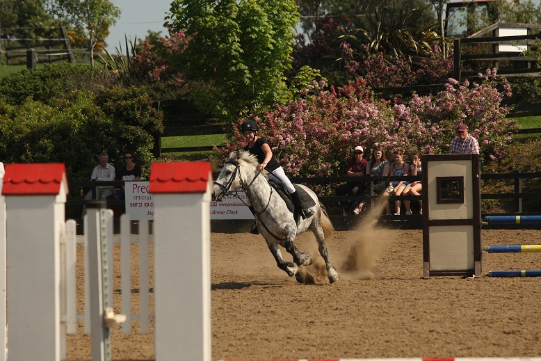 gallery_boswell Horse Riding Centre Dublin, riding lessons, livery