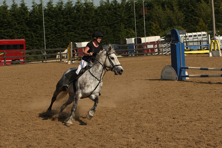 gallery_boswell Horse Riding Centre Dublin, riding lessons, livery