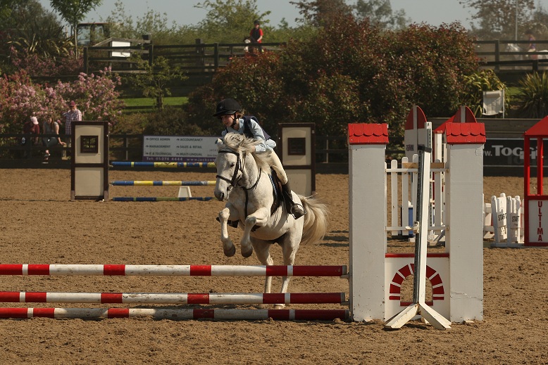 gallery_boswell Horse Riding Centre Dublin, riding lessons, livery