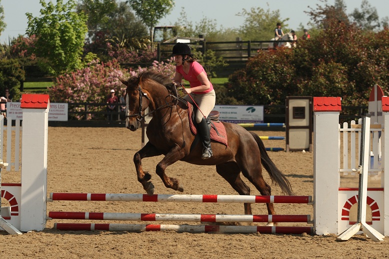 gallery_boswell Horse Riding Centre Dublin, riding lessons, livery