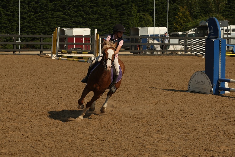 gallery_boswell Horse Riding Centre Dublin, riding lessons, livery