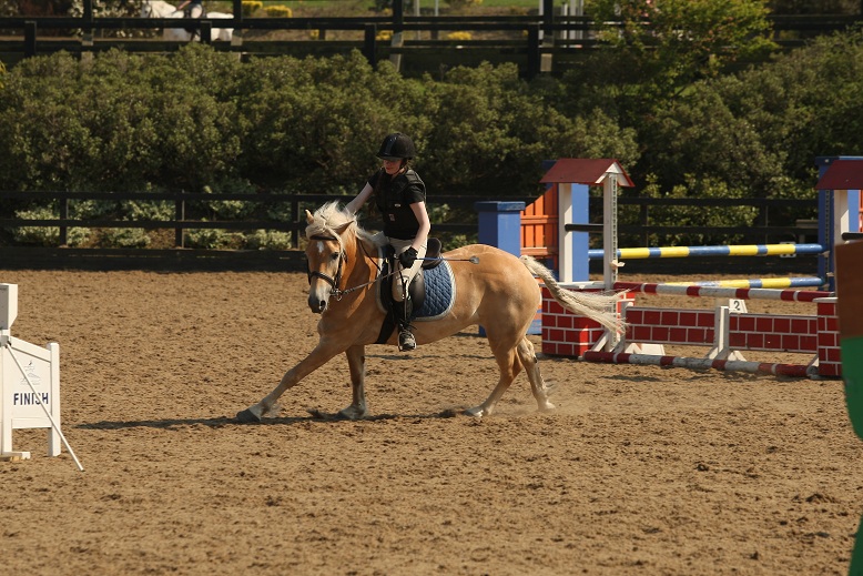 gallery_boswell Horse Riding Centre Dublin, riding lessons, livery