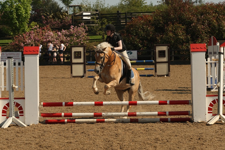 gallery_boswell Horse Riding Centre Dublin, riding lessons, livery