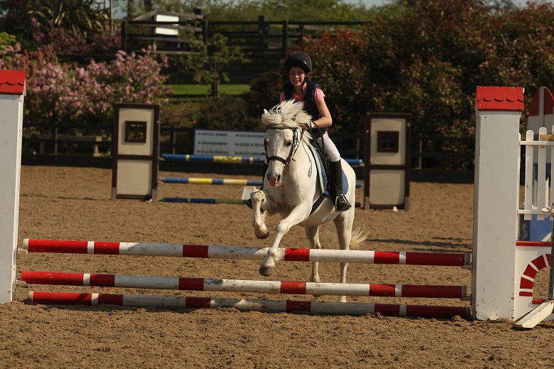gallery_boswell Horse Riding Centre Dublin, riding lessons, livery