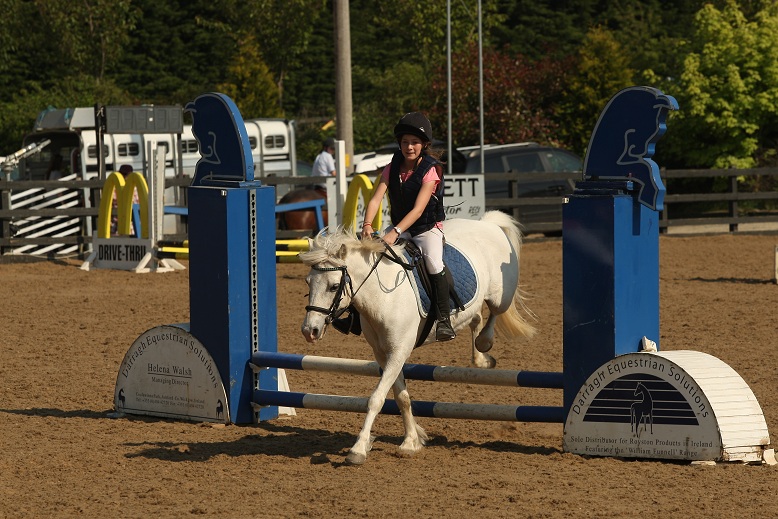 gallery_boswell Horse Riding Centre Dublin, riding lessons, livery