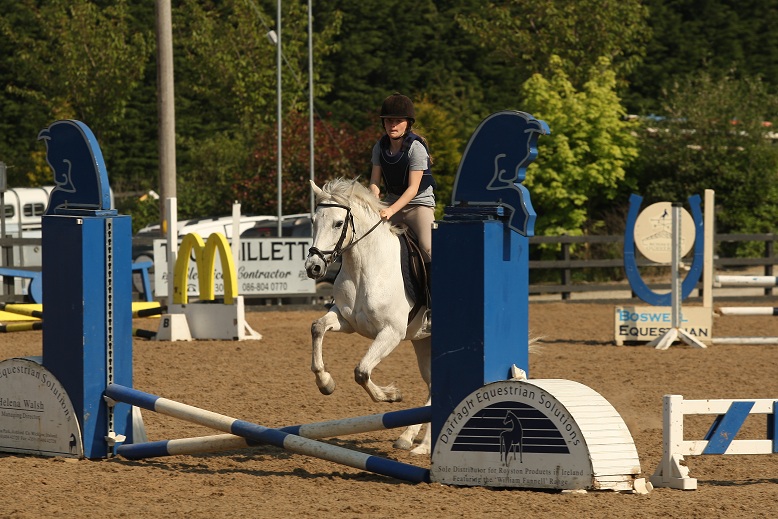 gallery_boswell Horse Riding Centre Dublin, riding lessons, livery