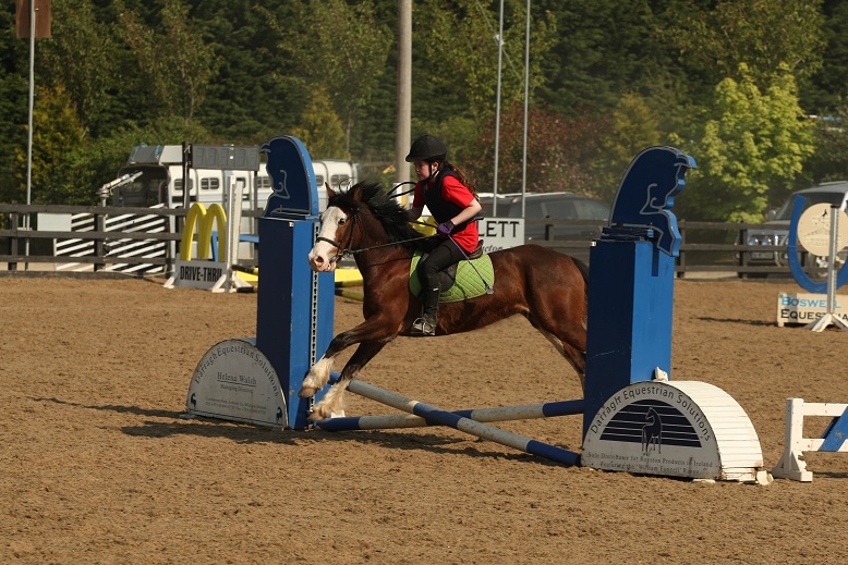 gallery_boswell Horse Riding Centre Dublin, riding lessons, livery