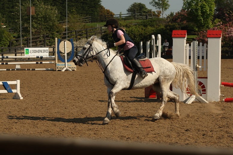 gallery_boswell Horse Riding Centre Dublin, riding lessons, livery