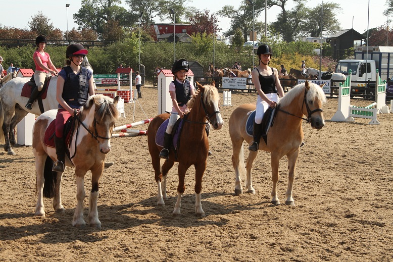 gallery_boswell Horse Riding Centre Dublin, riding lessons, livery