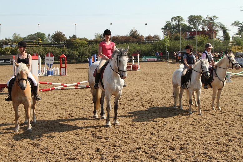 gallery_boswell Horse Riding Centre Dublin, riding lessons, livery