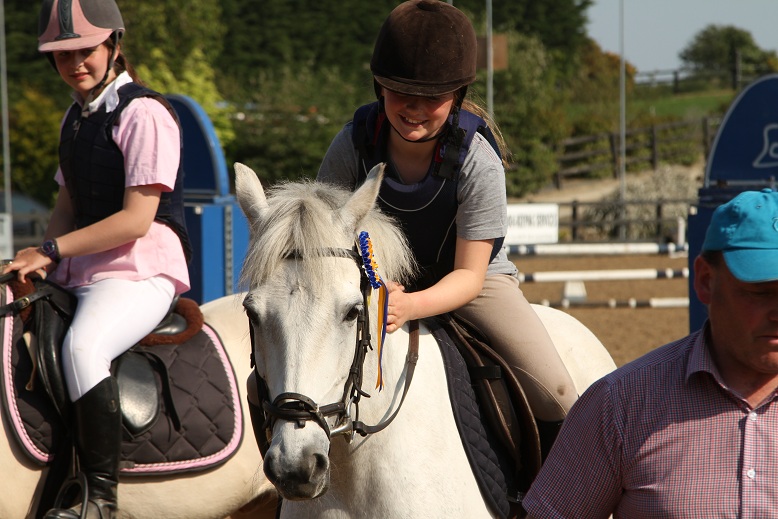 gallery_boswell Horse Riding Centre Dublin, riding lessons, livery