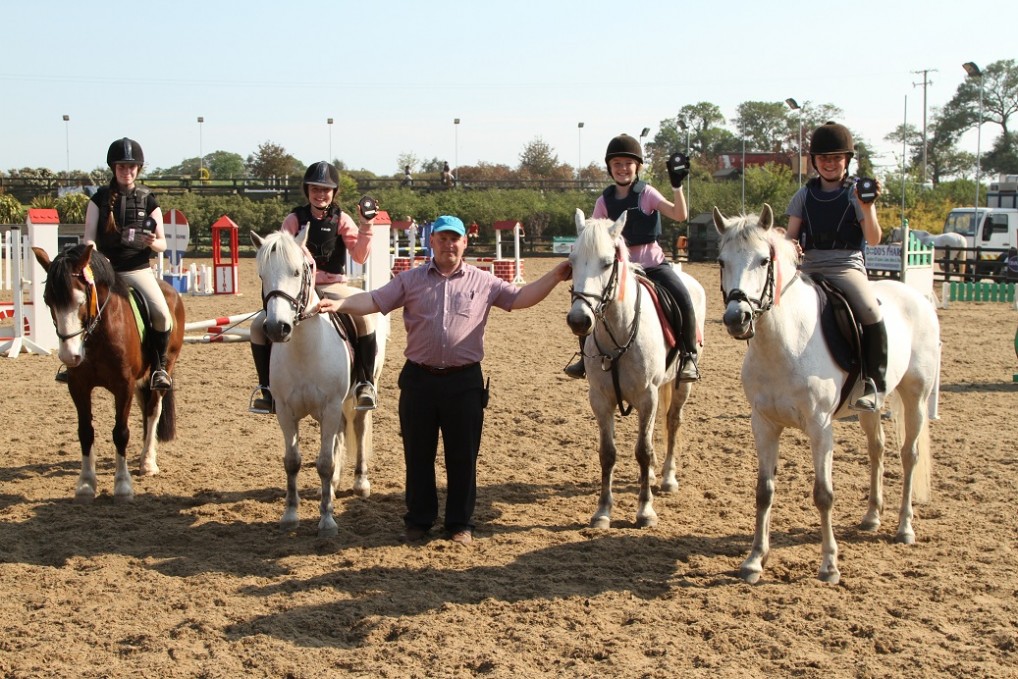 gallery_boswell Horse Riding Centre Dublin, riding lessons, livery