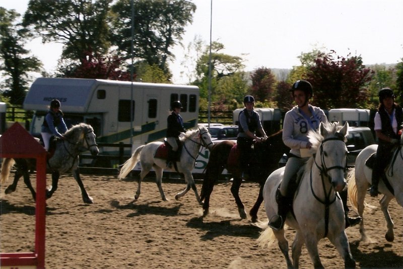 gallery_boswell Horse Riding Centre Dublin, riding lessons, livery