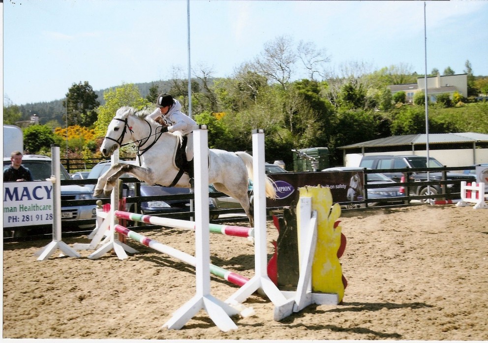gallery_boswell Horse Riding Centre Dublin, riding lessons, livery
