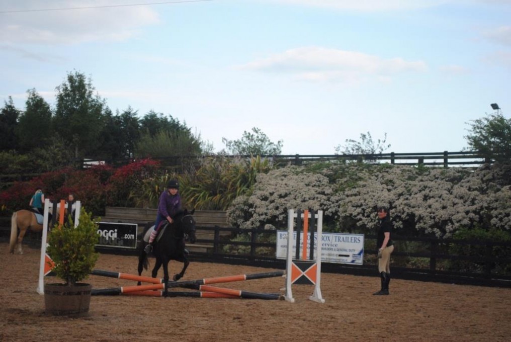 gallery_lessons Horse Riding Centre Dublin, riding lessons, livery