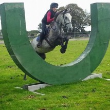 Pony Camp - Horse Riding Centre Dublin, riding lessons, livery, horses